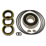 Tandem Pump Bearing & Seal Kit (For SN's Up To 5266)